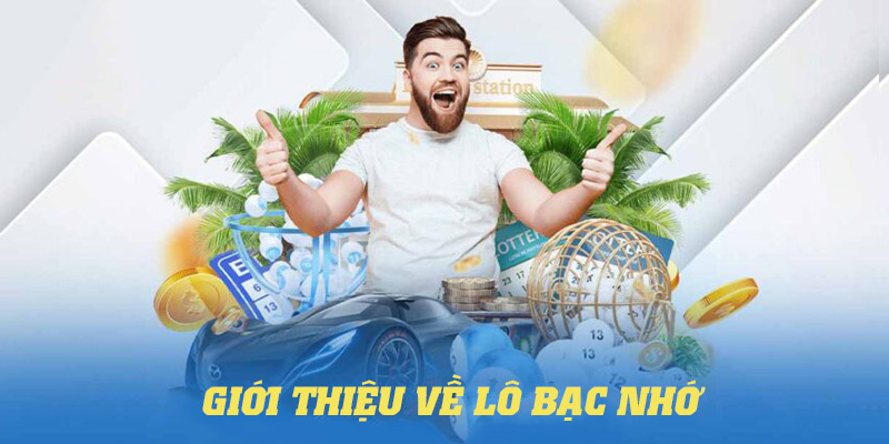 Giới thiệu các thông tin tổng quan về lô bạc nhớ