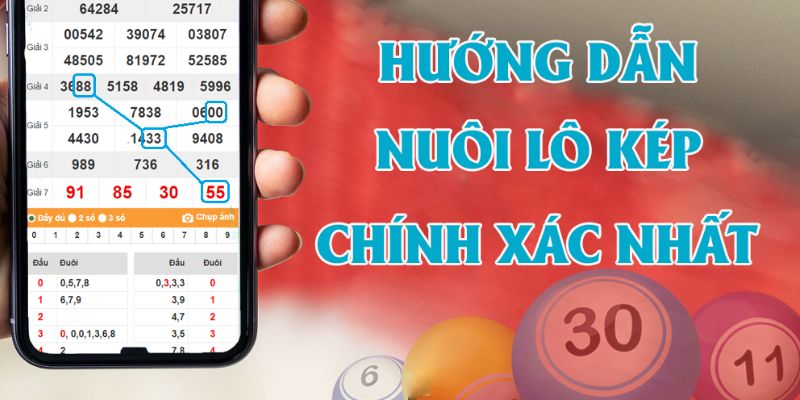 Nuôi lô kép là cách nuôi khung 1 ngày đơn giản nhất