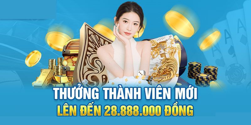 Những khuyến mãi cuốn hút để chào mừng thành viên mới